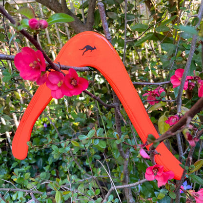 Aussie Fire Dancer Handcrafted Wooden Returning Boomerang | Australian Made - OZ Boomerangs