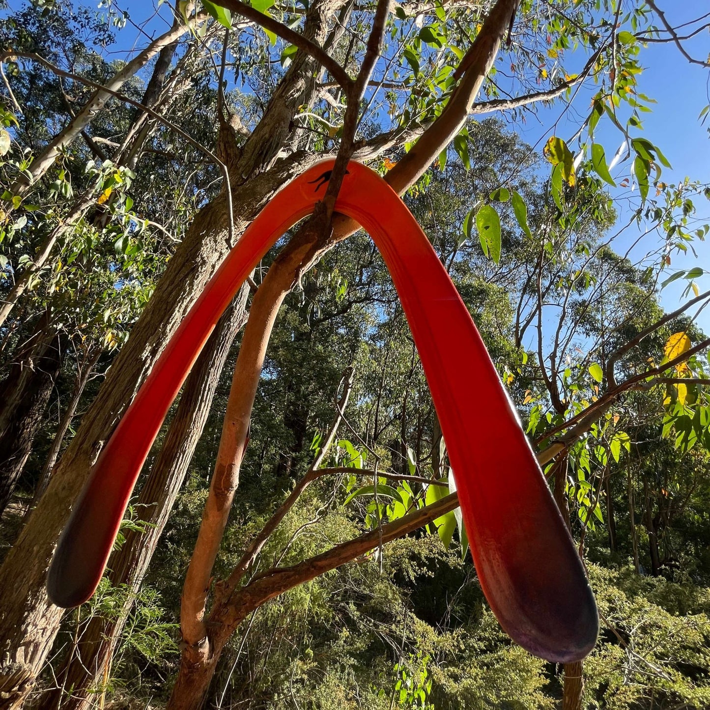 Captain Hook Performance Boomerang - OZ Boomerangs