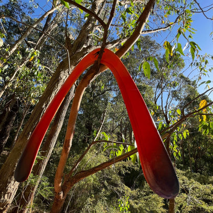 Captain Hook Performance Boomerang - OZ Boomerangs