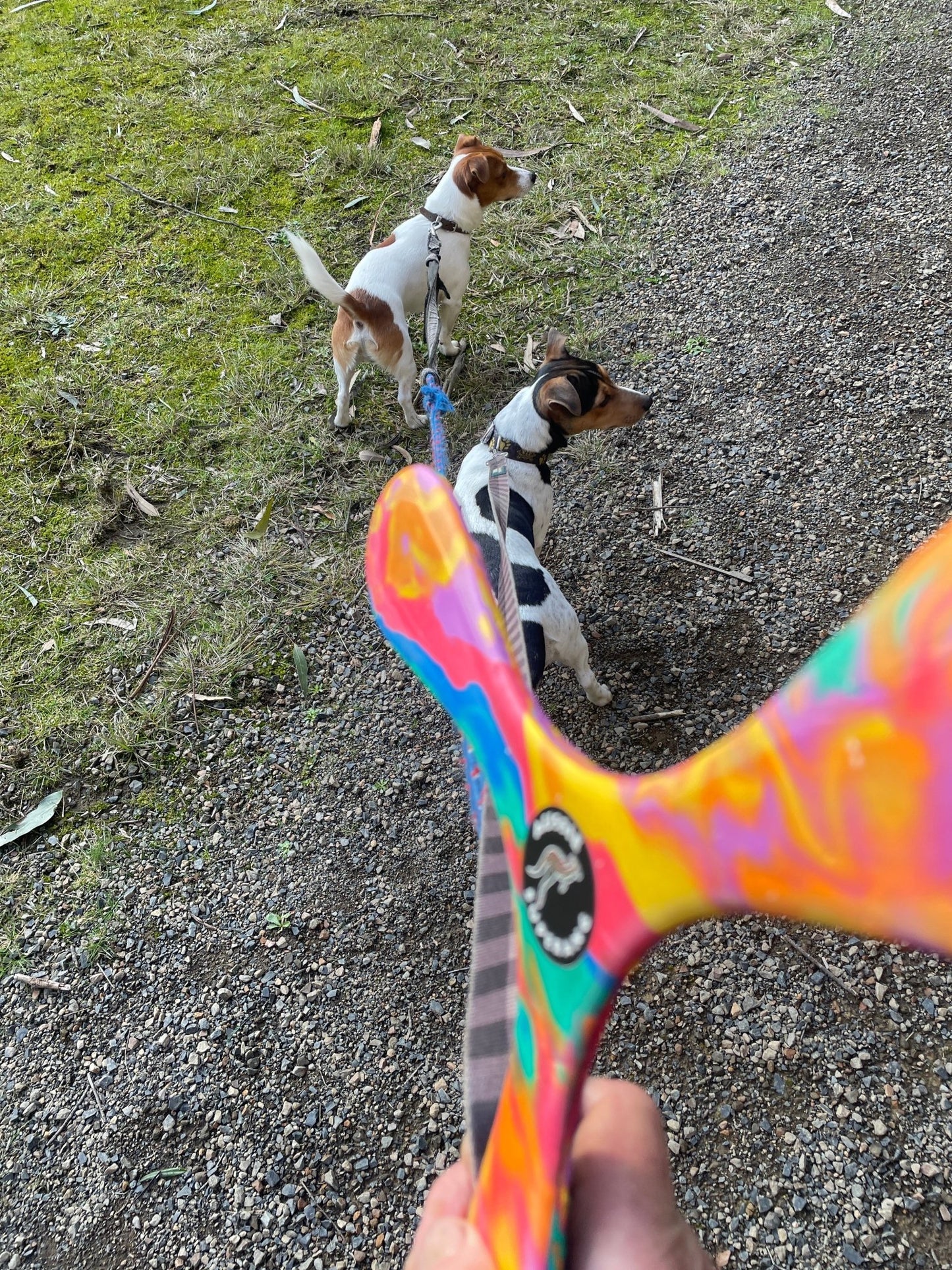 Booma Rangi & Outdoor Superang - OZ Boomerangs